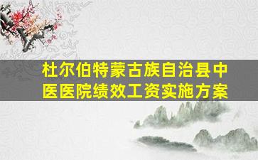 杜尔伯特蒙古族自治县中医医院绩效工资实施方案