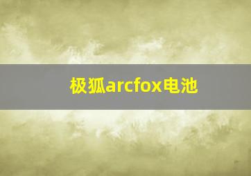 极狐arcfox电池