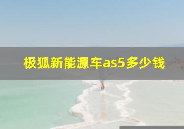 极狐新能源车as5多少钱