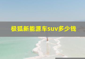 极狐新能源车suv多少钱