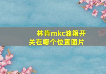 林肯mkc油箱开关在哪个位置图片