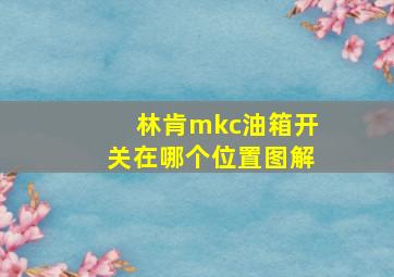 林肯mkc油箱开关在哪个位置图解