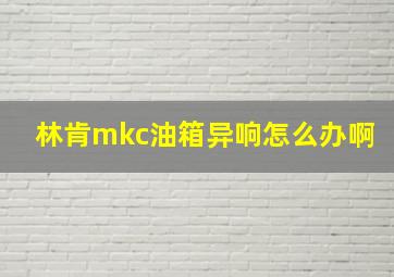 林肯mkc油箱异响怎么办啊