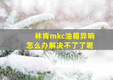 林肯mkc油箱异响怎么办解决不了了呢