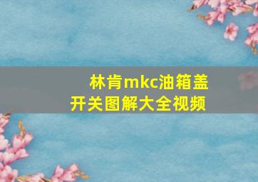 林肯mkc油箱盖开关图解大全视频