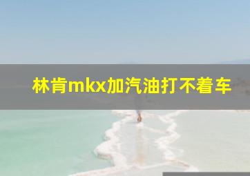 林肯mkx加汽油打不着车