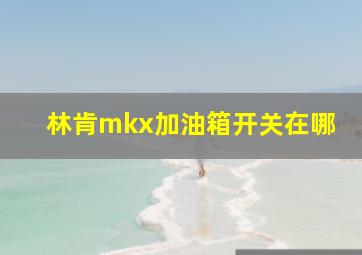 林肯mkx加油箱开关在哪