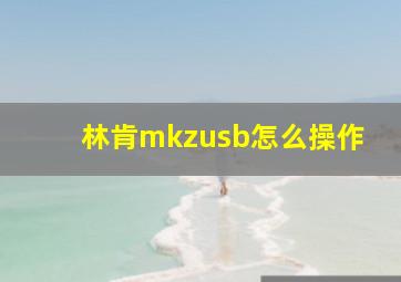 林肯mkzusb怎么操作