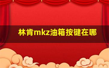 林肯mkz油箱按键在哪