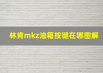 林肯mkz油箱按键在哪图解