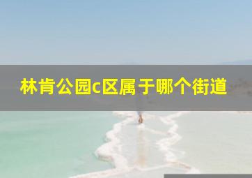 林肯公园c区属于哪个街道