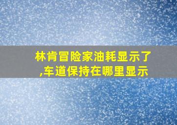 林肯冒险家油耗显示了,车道保持在哪里显示