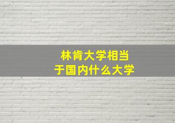 林肯大学相当于国内什么大学