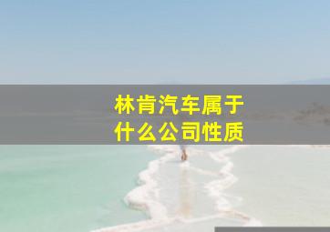 林肯汽车属于什么公司性质