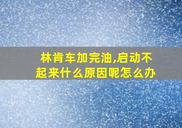 林肯车加完油,启动不起来什么原因呢怎么办