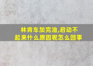 林肯车加完油,启动不起来什么原因呢怎么回事