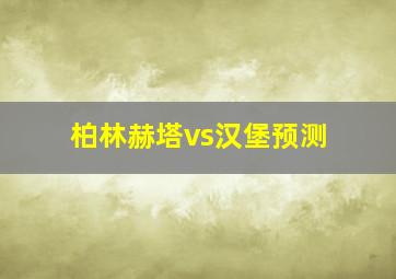 柏林赫塔vs汉堡预测