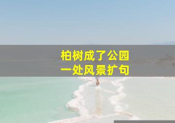 柏树成了公园一处风景扩句