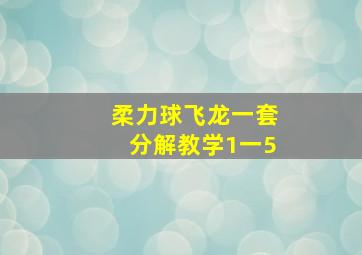 柔力球飞龙一套分解教学1一5