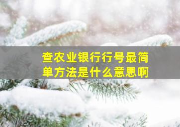 查农业银行行号最简单方法是什么意思啊