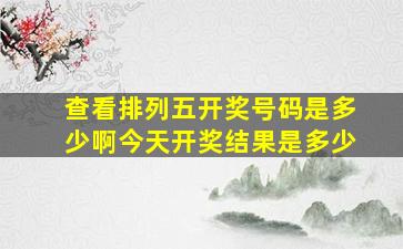 查看排列五开奖号码是多少啊今天开奖结果是多少