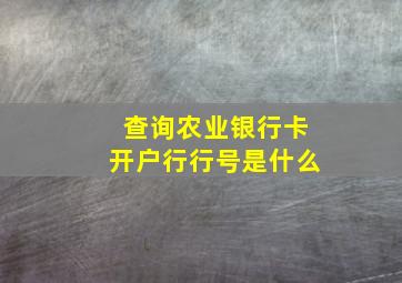 查询农业银行卡开户行行号是什么