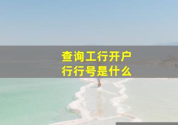 查询工行开户行行号是什么