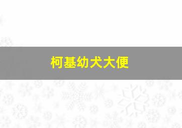 柯基幼犬大便