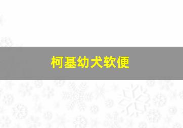 柯基幼犬软便