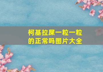 柯基拉屎一粒一粒的正常吗图片大全