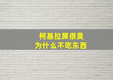 柯基拉屎很臭为什么不吃东西