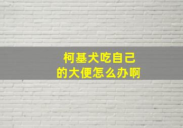 柯基犬吃自己的大便怎么办啊