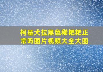 柯基犬拉黑色稀粑粑正常吗图片视频大全大图