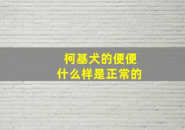 柯基犬的便便什么样是正常的