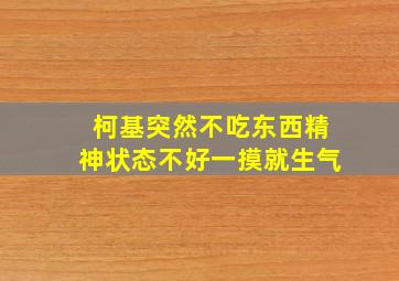 柯基突然不吃东西精神状态不好一摸就生气