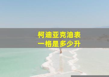 柯迪亚克油表一格是多少升