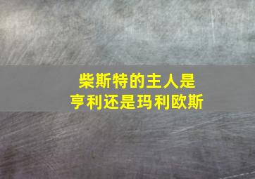 柴斯特的主人是亨利还是玛利欧斯