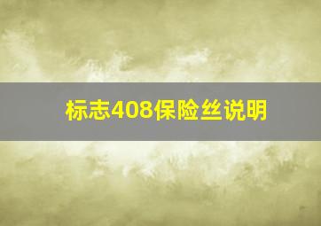 标志408保险丝说明