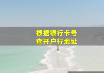 根据银行卡号查开户行地址