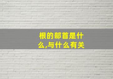 根的部首是什么,与什么有关