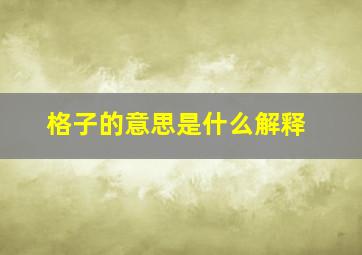 格子的意思是什么解释