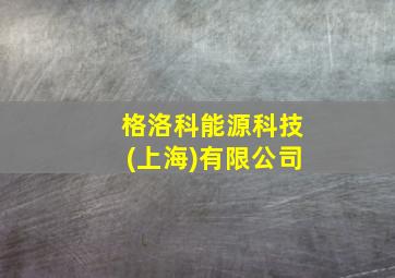 格洛科能源科技(上海)有限公司