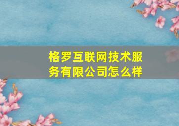 格罗互联网技术服务有限公司怎么样