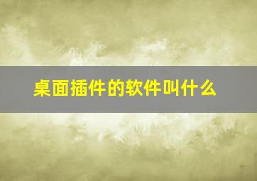 桌面插件的软件叫什么