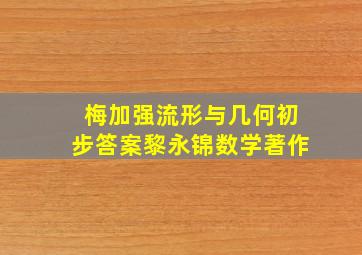 梅加强流形与几何初步答案黎永锦数学著作