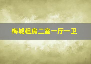 梅城租房二室一厅一卫