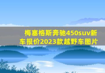 梅塞格斯奔驰450suv新车报价2023款越野车图片