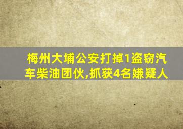 梅州大埔公安打掉1盗窃汽车柴油团伙,抓获4名嫌疑人