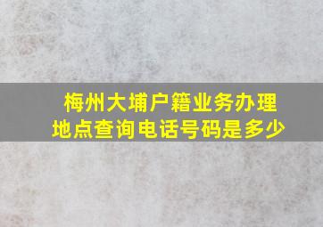 梅州大埔户籍业务办理地点查询电话号码是多少