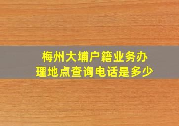 梅州大埔户籍业务办理地点查询电话是多少